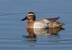 Atlingand