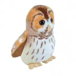 Natugle (med lyd)