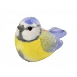 Blåmejse (med lyd)