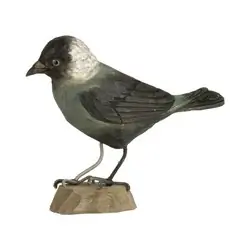 Allike (træ)