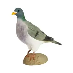 Ringdue (træ)