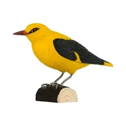Pirol (træ)