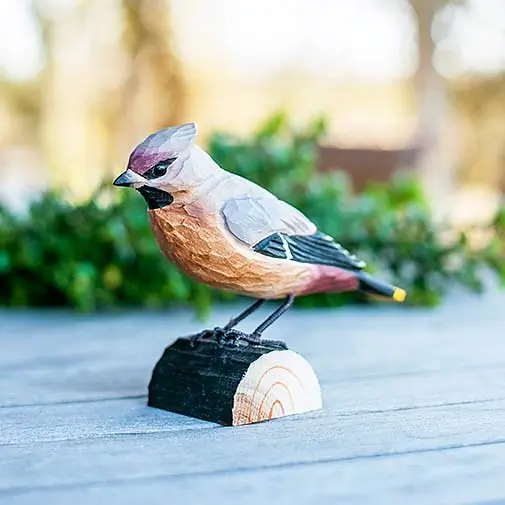 Silkehale (træ)