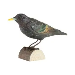 Stær (træ)