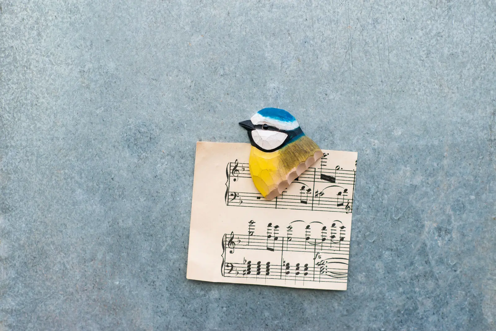 Magnet (blåmejse)